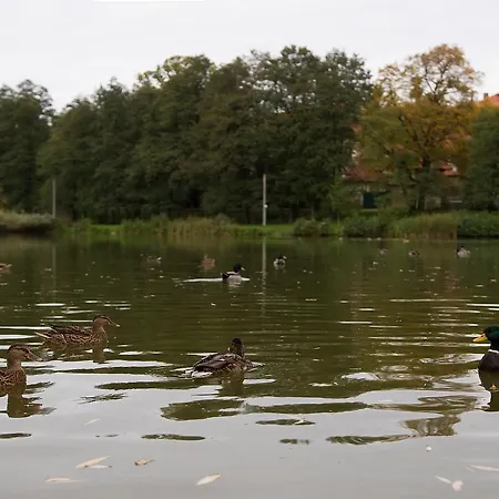 Hotel Zamek Poruba Ostrava