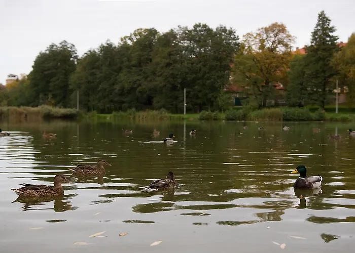 Hotel Zámek Poruba Ostrava